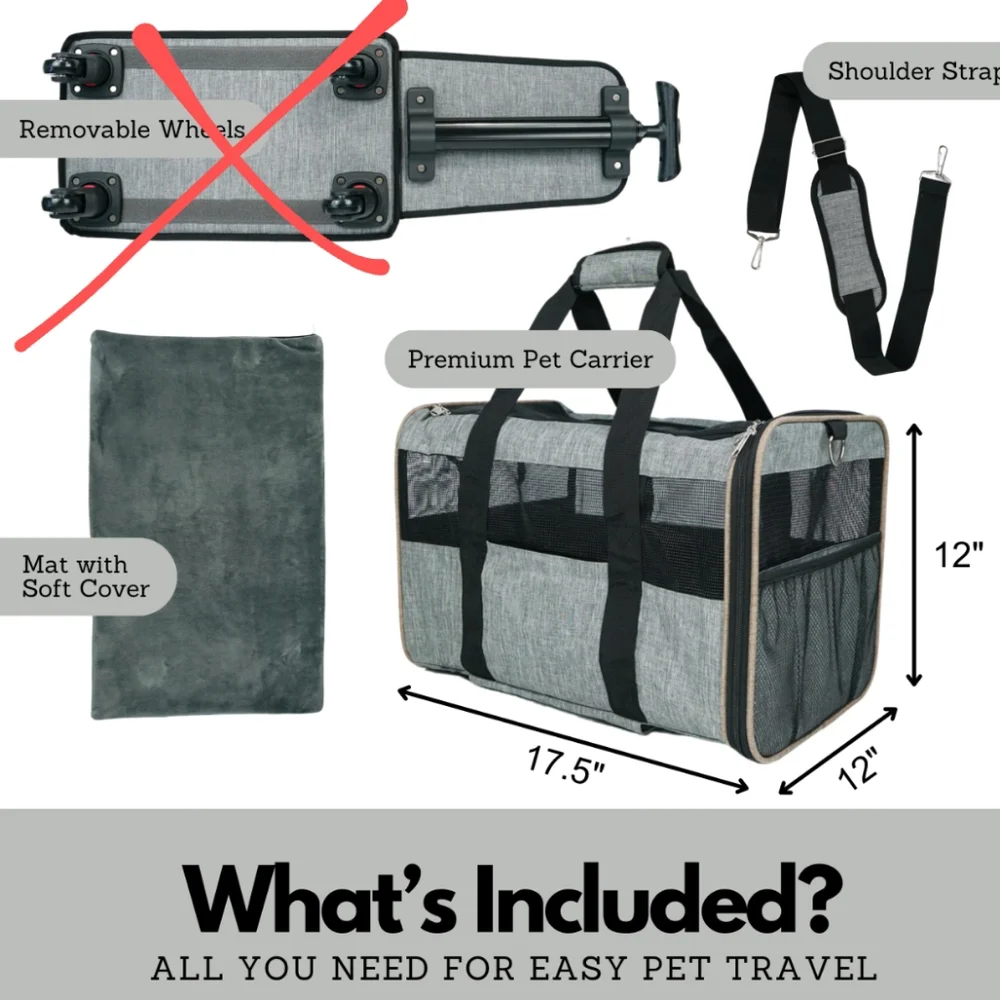 Airline approved carrier ( missing wheels)